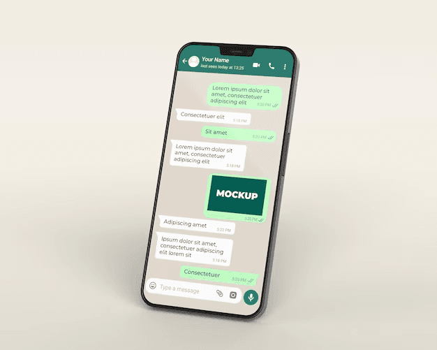 WhatsApp Messaging Mockup